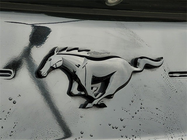 2021 Ford Mustang EcoBoost