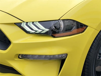 2021 Ford Mustang EcoBoost