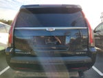 2016 Cadillac Escalade Platinum Edition
